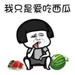 娱乐吃瓜哈哈哈,笑料百出,揭秘明星幕后故事哈哈哈