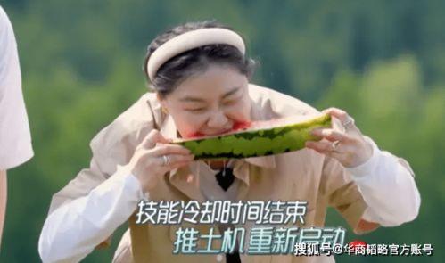 娱乐吃瓜地背后是谁,是谁在操控娱乐圈风云?